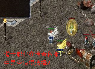 道士职业在传奇私服中是否值得选择? 道士职业在传奇私服中是否值得选择?