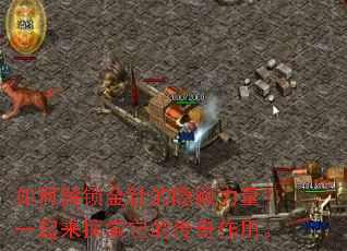 如何解锁金针的隐藏力量?一起来探索它的传奇作用。 如何解锁金针的隐藏力量?一起来探索它的传奇作用。