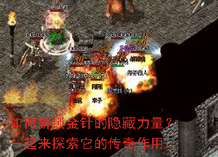 如何解锁金针的隐藏力量?一起来探索它的传奇作用。 如何解锁金针的隐藏力量?一起来探索它的传奇作用。