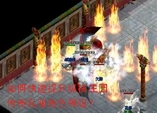 如何快速提升纵横庄园传奇私服角色等级? 如何快速提升纵横庄园传奇私服角色等级?