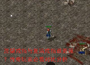 涅槃戒指与复活戒指谁更强?传奇玩家必看对比分析 涅槃戒指与复活戒指谁更强?传奇玩家必看对比分析