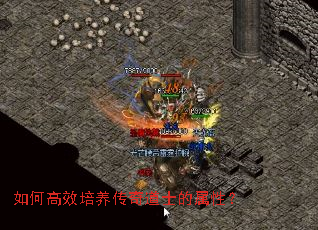 如何高效培养传奇道士的属性? 如何高效培养传奇道士的属性?