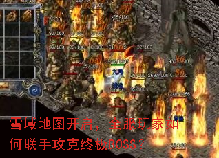雪域地图开启,全服玩家如何联手攻克终极BOSS? 雪域地图开启,全服玩家如何联手攻克终极BOSS?