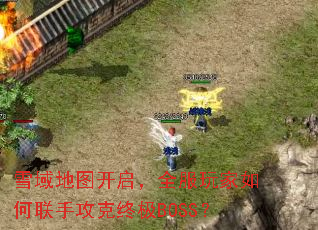 雪域地图开启,全服玩家如何联手攻克终极BOSS? 雪域地图开启,全服玩家如何联手攻克终极BOSS?