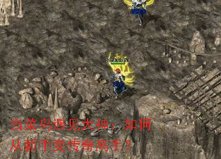 当菜鸟遇见大神:如何从新手变传奇高手? 当菜鸟遇见大神:如何从新手变传奇高手?