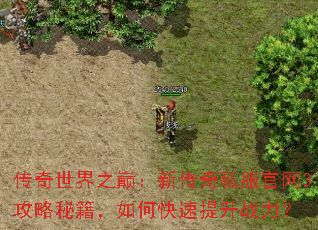 传奇世界之巅:新传奇私服官网3攻略秘籍,如何快速提升战力? 传奇世界之巅:新传奇私服官网3攻略秘籍,如何快速提升战力?