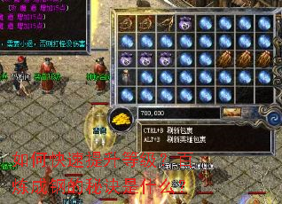 如何快速提升等级?百炼成钢的秘诀是什么? 如何快速提升等级?百炼成钢的秘诀是什么?