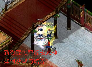 新微变传奇终极元神如何获取与培养? 新微变传奇终极元神如何获取与培养?