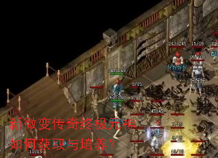新微变传奇终极元神如何获取与培养? 新微变传奇终极元神如何获取与培养?