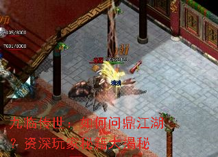 九临传世:如何问鼎江湖?资深玩家秘籍大揭秘 九临传世:如何问鼎江湖?资深玩家秘籍大揭秘