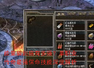 能量盾到底有多强?单职业传奇最强保命技能深度解析 能量盾到底有多强?单职业传奇最强保命技能深度解析
