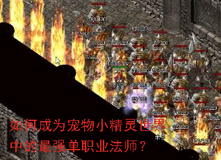 如何成为宠物小精灵世界中的最强单职业法师? 如何成为宠物小精灵世界中的最强单职业法师?