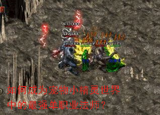 如何成为宠物小精灵世界中的最强单职业法师? 如何成为宠物小精灵世界中的最强单职业法师?