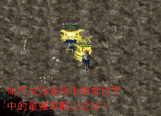 如何成为宠物小精灵世界中的最强单职业法师? 如何成为宠物小精灵世界中的最强单职业法师?