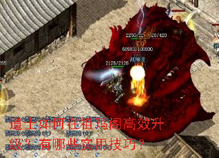 道士如何在祖玛阁高效升级?有哪些实用技巧? 道士如何在祖玛阁高效升级?有哪些实用技巧?