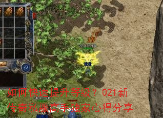 如何快速提升等级?021新传奇私服高手独家心得分享 如何快速提升等级?021新传奇私服高手独家心得分享