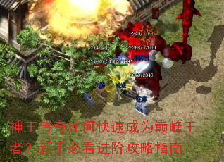 神王传奇如何快速成为巅峰王者?新手必看进阶攻略指南 神王传奇如何快速成为巅峰王者?新手必看进阶攻略指南