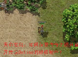 天命玄鸟:如何获取传奇之钥并揭开传说Online的终极秘密? 天命玄鸟:如何获取传奇之钥并揭开传说Online的终极秘密?