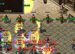 1.76金币版传奇攻略十问十答:新手如何快速上手? 1.76金币版传奇攻略十问十答:新手如何快速上手?