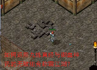 如何运用九炼真经与御血神药的无敌组合称霸江湖? 如何运用九炼真经与御血神药的无敌组合称霸江湖?