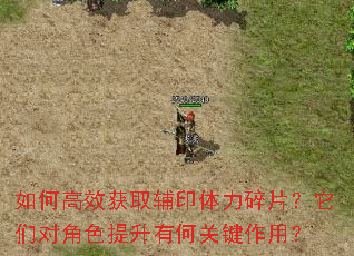 如何高效获取辅印体力碎片?它们对角色提升有何关键作用? 如何高效获取辅印体力碎片?它们对角色提升有何关键作用?