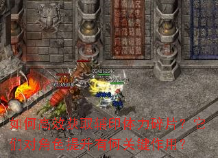 如何高效获取辅印体力碎片?它们对角色提升有何关键作用? 如何高效获取辅印体力碎片?它们对角色提升有何关键作用?