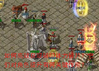 如何高效获取辅印体力碎片?它们对角色提升有何关键作用? 如何高效获取辅印体力碎片?它们对角色提升有何关键作用?