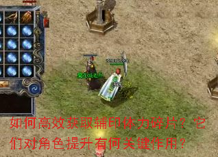 如何高效获取辅印体力碎片?它们对角色提升有何关键作用? 如何高效获取辅印体力碎片?它们对角色提升有何关键作用?