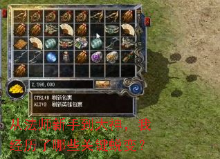 从法师新手到大神,我经历了哪些关键蜕变? 从法师新手到大神,我经历了哪些关键蜕变?
