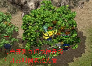传奇开测如何快速升级?开服时间表抢先看 传奇开测如何快速升级?开服时间表抢先看