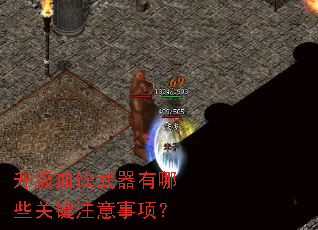 升级血饮武器有哪些关键注意事项? 升级血饮武器有哪些关键注意事项?