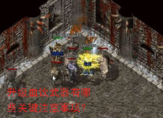 升级血饮武器有哪些关键注意事项? 升级血饮武器有哪些关键注意事项?