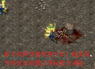 新手如何快速刷宝升级?超变版传奇进阶称霸沙场秘笈大揭秘 新手如何快速刷宝升级?超变版传奇进阶称霸沙场秘笈大揭秘