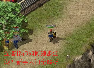 涅磐修神如何独步江湖?新手入门全解析 涅磐修神如何独步江湖?新手入门全解析