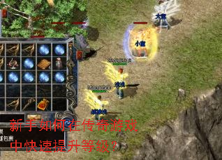 新手如何在传奇游戏中快速提升等级? 新手如何在传奇游戏中快速提升等级?