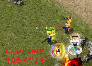 千年树妖封魔谷:如何击败传奇老手? 千年树妖封魔谷:如何击败传奇老手?