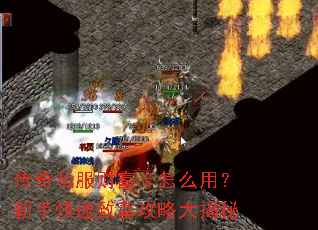 传奇私服财富卡怎么用?新手快速致富攻略大揭秘 传奇私服财富卡怎么用?新手快速致富攻略大揭秘