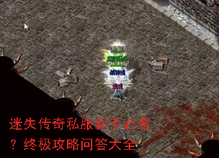迷失传奇私服新手必看?终极攻略问答大全 迷失传奇私服新手必看?终极攻略问答大全