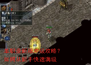 单职业新服冲级攻略?如何从新手快速满级 单职业新服冲级攻略?如何从新手快速满级