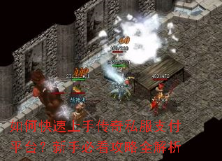 如何快速上手传奇私服支付平台?新手必看攻略全解析 如何快速上手传奇私服支付平台?新手必看攻略全解析