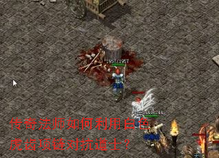传奇法师如何利用白色虎齿项链对抗道士? 传奇法师如何利用白色虎齿项链对抗道士?