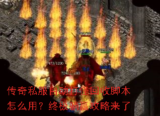 传奇私服自动打怪回收脚本怎么用?终极躺赢攻略来了 传奇私服自动打怪回收脚本怎么用?终极躺赢攻略来了