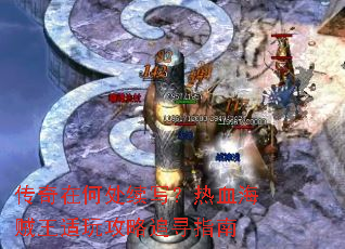 传奇在何处续写?热血海贼王适玩攻略追寻指南 传奇在何处续写?热血海贼王适玩攻略追寻指南