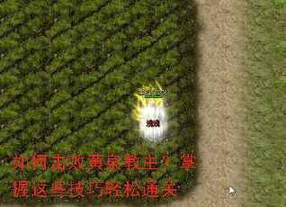 如何击败黄泉教主?掌握这些技巧轻松通关 如何击败黄泉教主?掌握这些技巧轻松通关