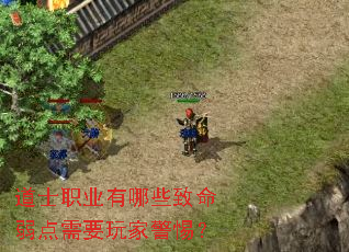 道士职业有哪些致命弱点需要玩家警惕? 道士职业有哪些致命弱点需要玩家警惕?
