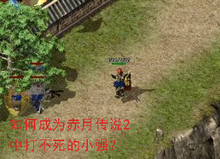 如何成为赤月传说2中打不死的小强? 如何成为赤月传说2中打不死的小强?