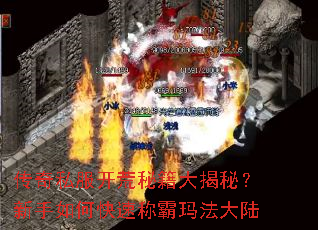 传奇私服开荒秘籍大揭秘?新手如何快速称霸玛法大陆 传奇私服开荒秘籍大揭秘?新手如何快速称霸玛法大陆