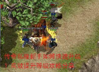 传奇私服新手如何快速升级?高效提升等级攻略分享 传奇私服新手如何快速升级?高效提升等级攻略分享