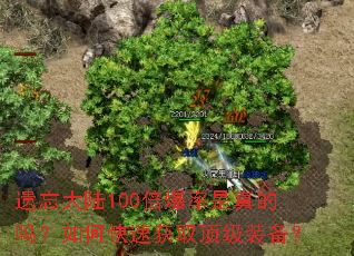 遗忘大陆100倍爆率是真的吗?如何快速获取顶级装备? 遗忘大陆100倍爆率是真的吗?如何快速获取顶级装备?