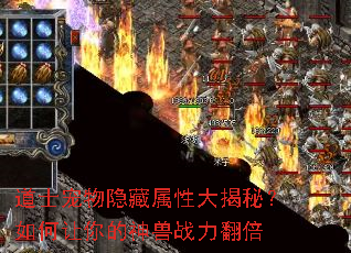 道士宠物隐藏属性大揭秘?如何让你的神兽战力翻倍 道士宠物隐藏属性大揭秘?如何让你的神兽战力翻倍
